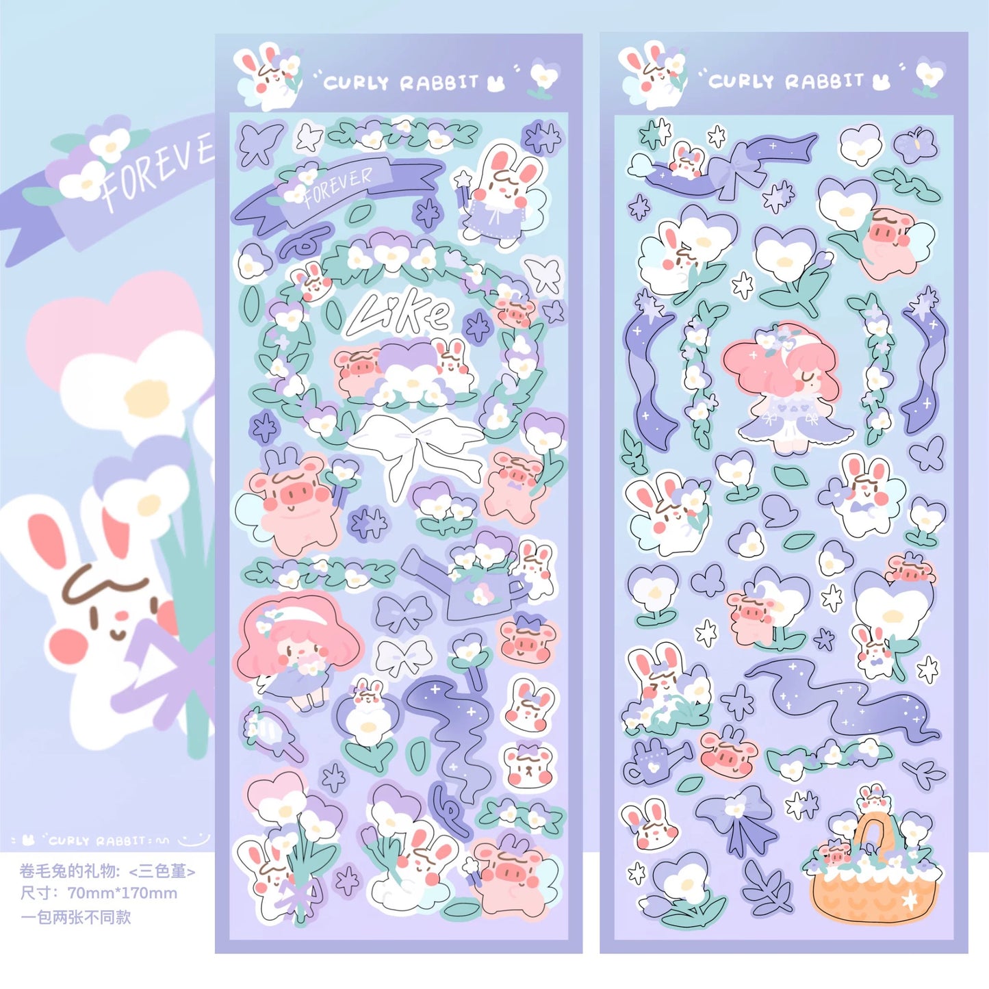 Curly rabbit | Pansy