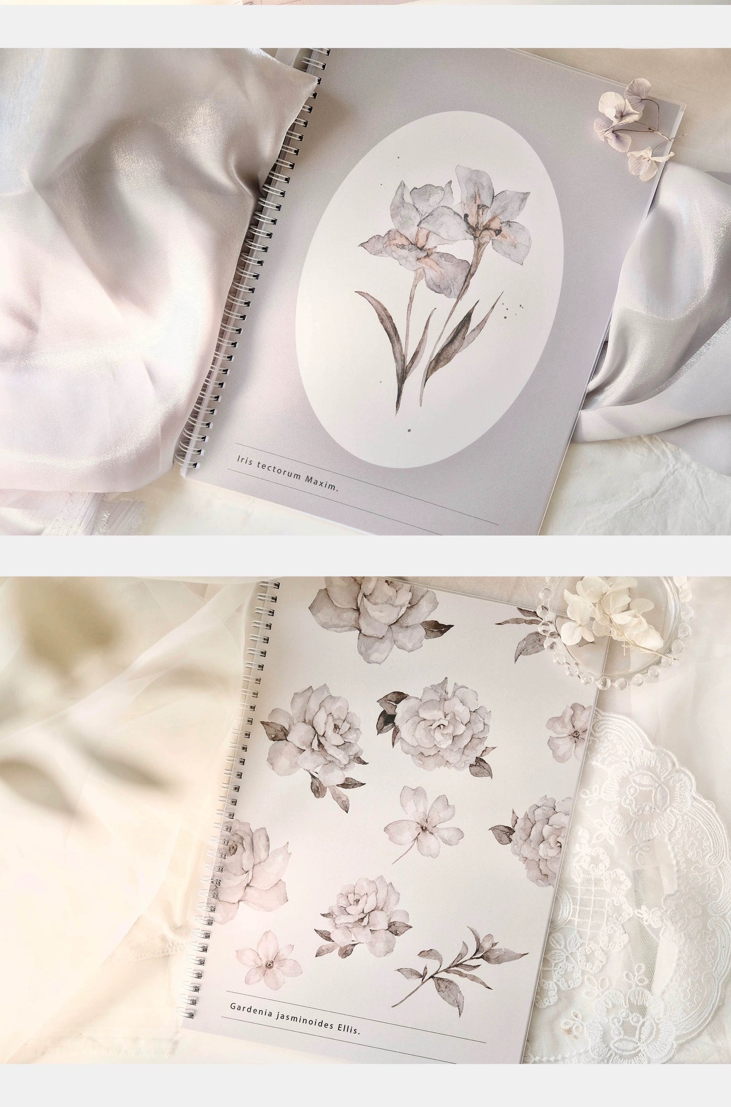 Freckles Tea | A4 Release book
