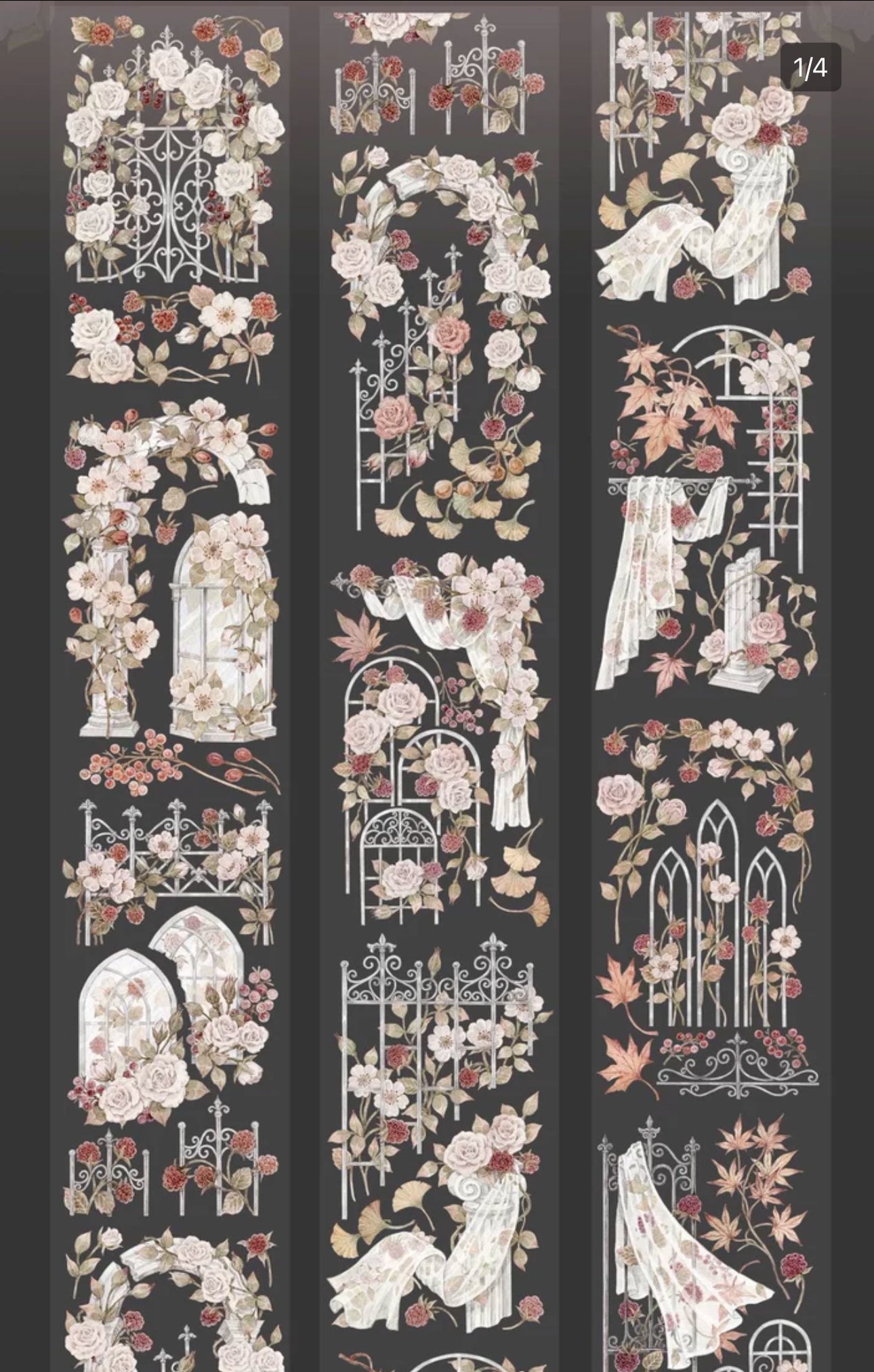 花柒所|若桑致