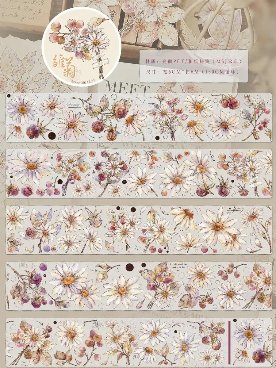 Xiaobai|Daisy Dream