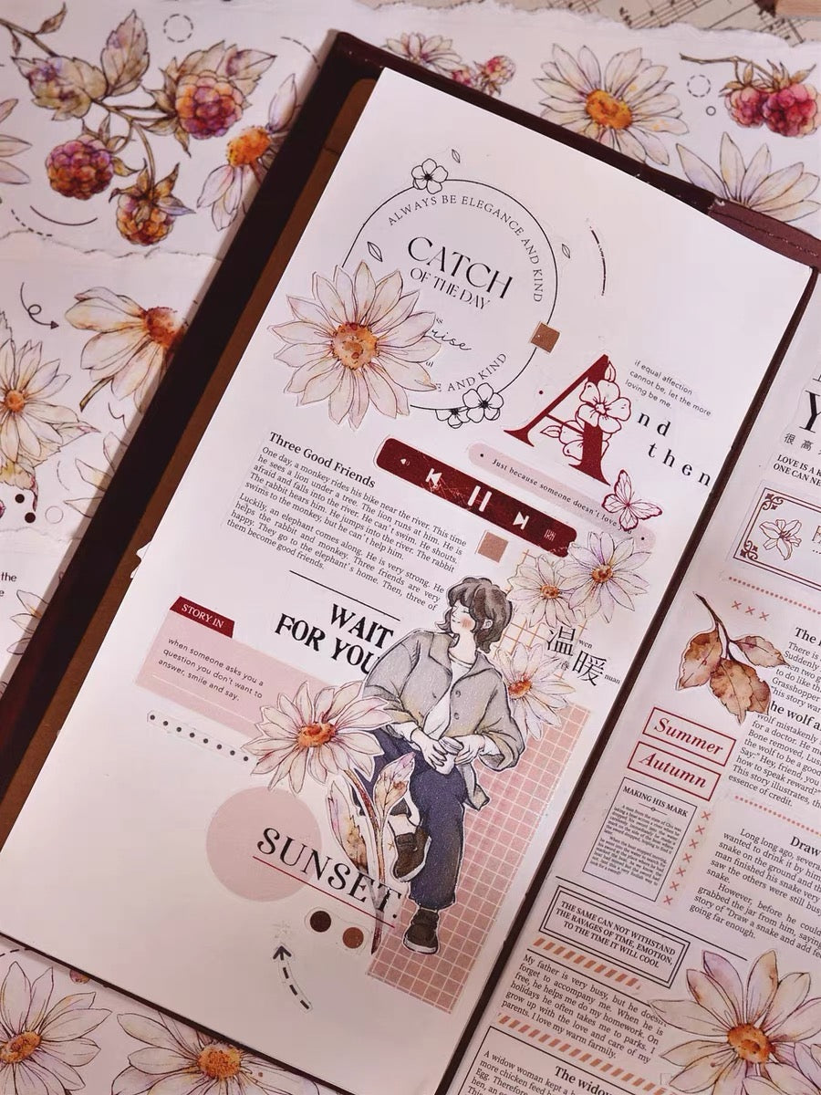 Xiaobai|Daisy Dream