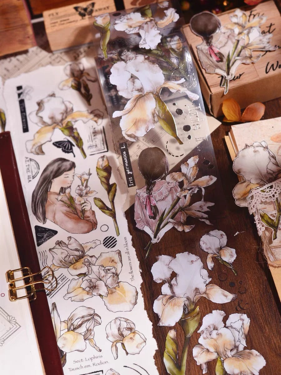 Xiaobai|Iris Bloom