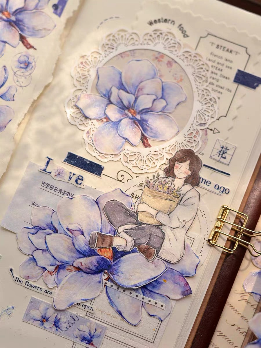 Xiaobai|Woodland blue