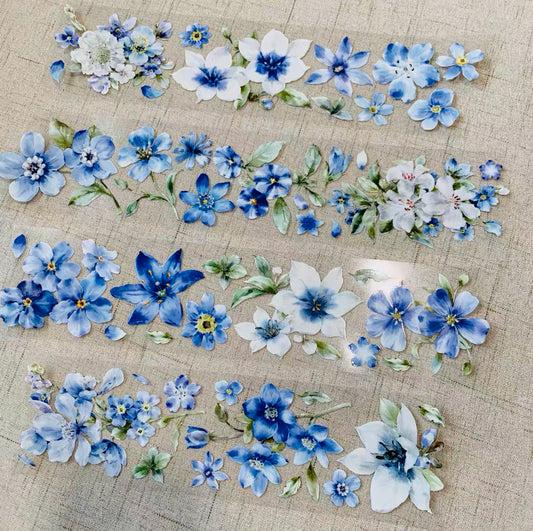 Witch Sama|Flora‘s dawn·Rising gracefullt