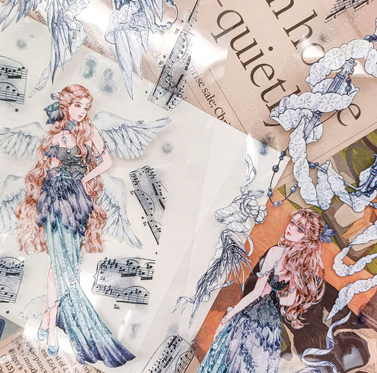 巨光棉|黑天鵝曲