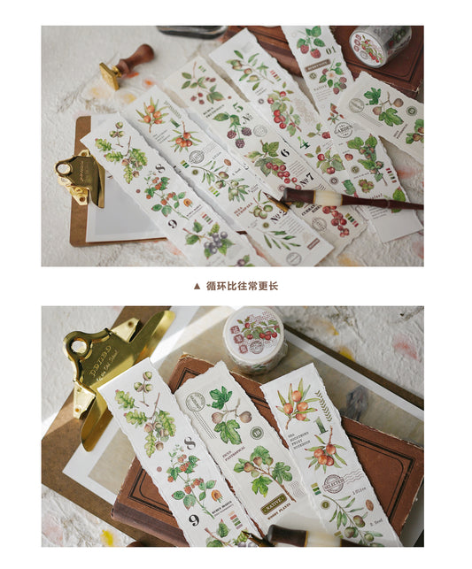 Qiqi Island | Story of Fruits