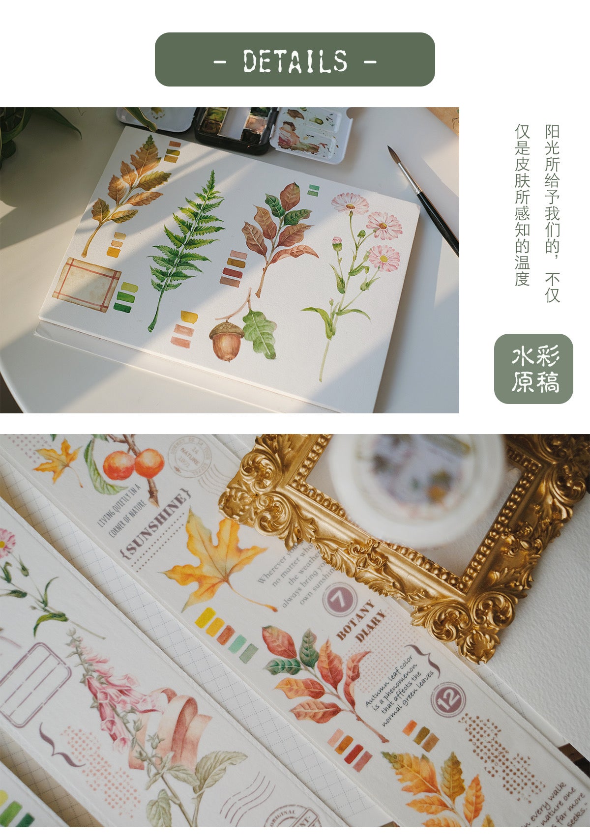 Qiqi Island | Sunny Notes