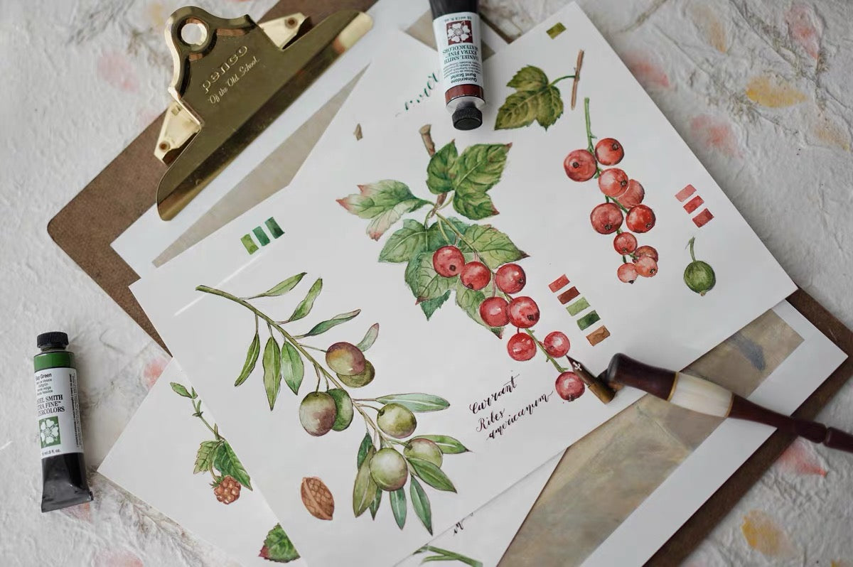 Qiqi Island | Story of Fruits