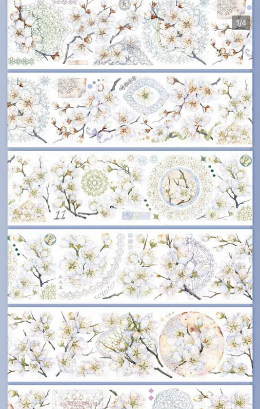 Mist Star | Whispering Plum