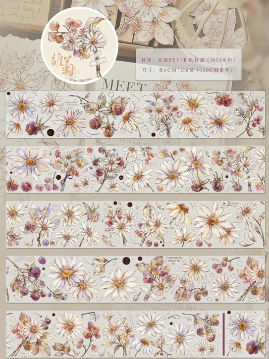 Xiaobai｜Daisy Dream
